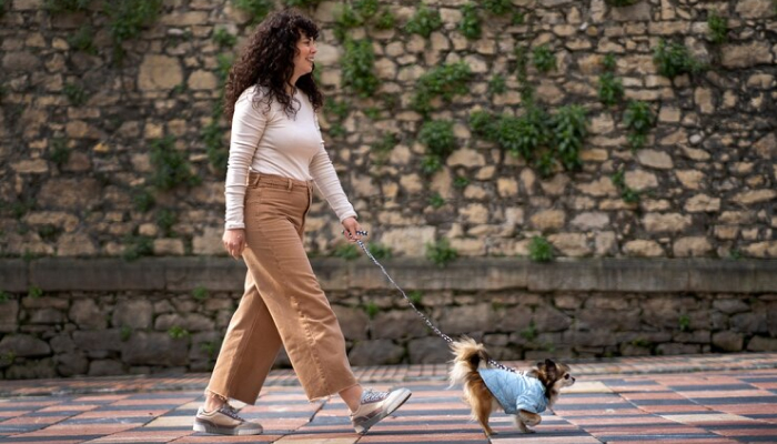 Dog Walker-how to make money as a teenager
