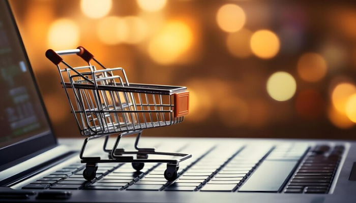 E-commerce or Dropshipping